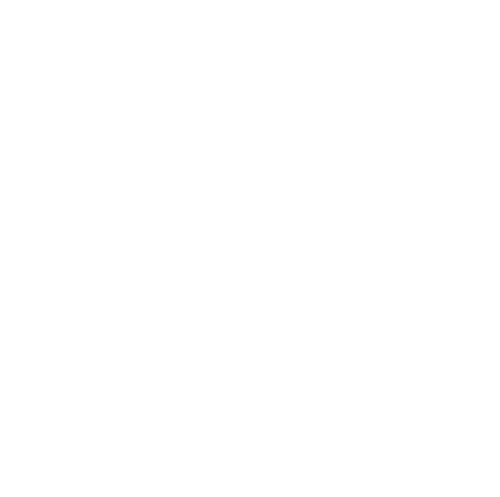 EU Privacy Shield