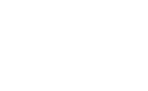 Boston Scientific